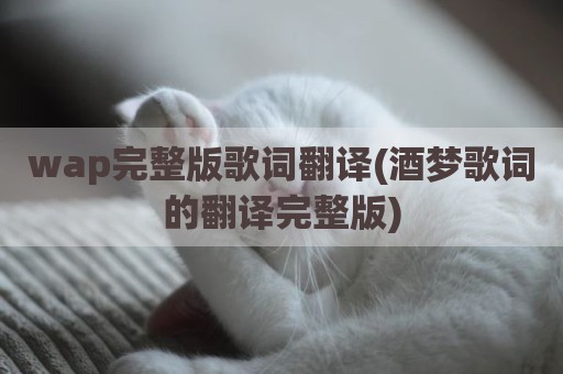 wap完整版歌词翻译(酒梦歌词的翻译完整版)