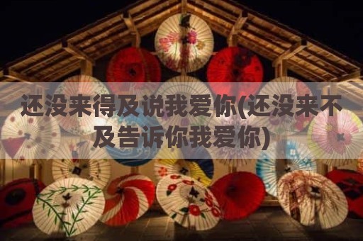 还没来得及说我爱你(还没来不及告诉你我爱你)
