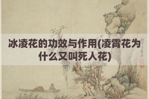 冰凌花的功效与作用(凌霄花为什么又叫死人花)