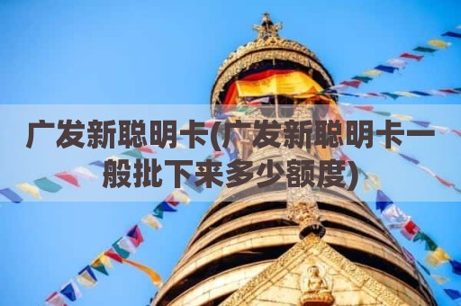 广发新聪明卡(广发新聪明卡一般批下来多少额度)