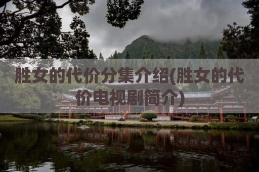胜女的代价分集介绍(胜女的代价电视剧简介)