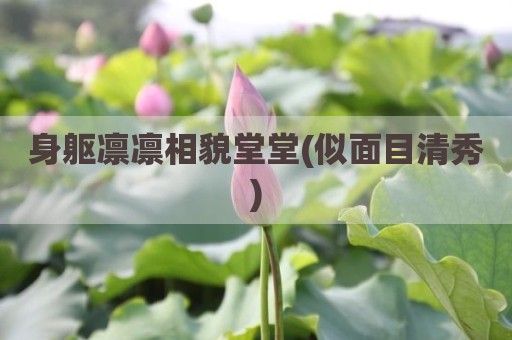 身躯凛凛相貌堂堂(似面目清秀)