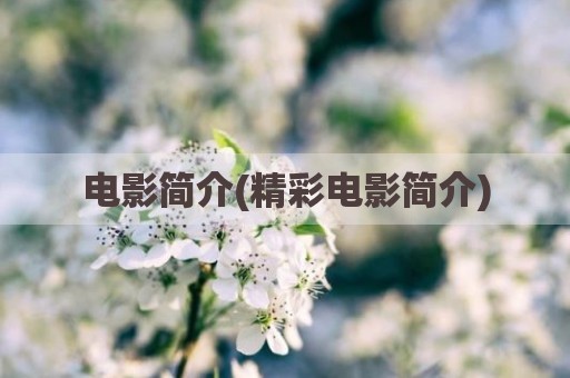 电影简介(精彩电影简介)