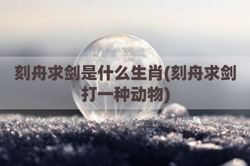刻舟求剑是什么生肖(刻舟求剑打一种动物)