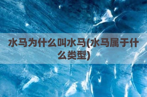 水马为什么叫水马(水马属于什么类型)