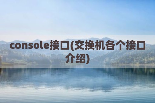console接口(交换机各个接口介绍)