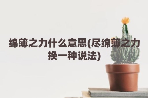 绵薄之力什么意思(尽绵薄之力换一种说法)
