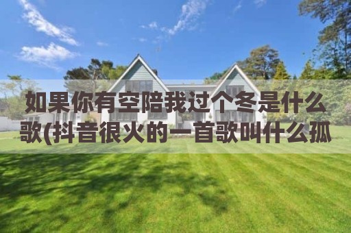 如果你有空陪我过个冬是什么歌(抖音很火的一首歌叫什么孤独)