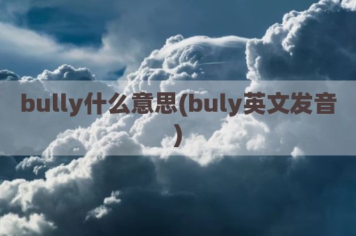bully什么意思(buly英文发音)