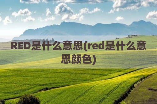 RED是什么意思(red是什么意思颜色)