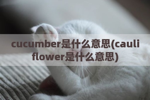 cucumber是什么意思(cauliflower是什么意思)
