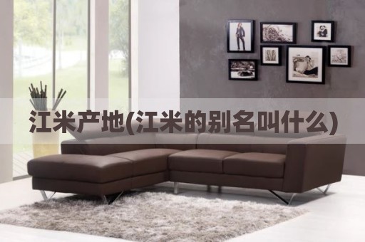 江米产地(江米的别名叫什么)