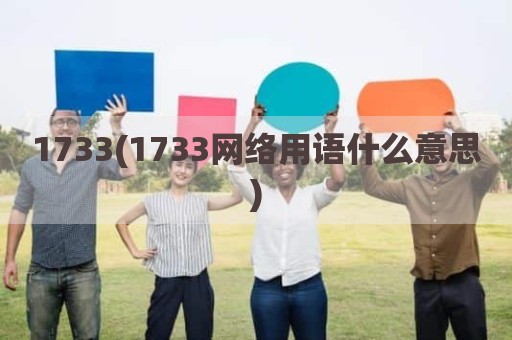 1733(1733网络用语什么意思)