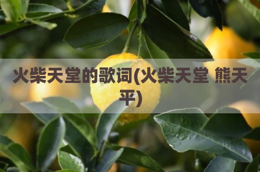 火柴天堂的歌词(火柴天堂 熊天平)