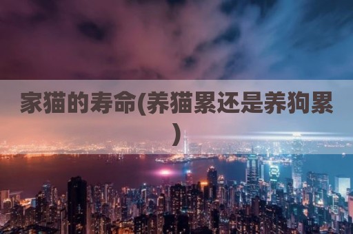 家猫的寿命(养猫累还是养狗累)