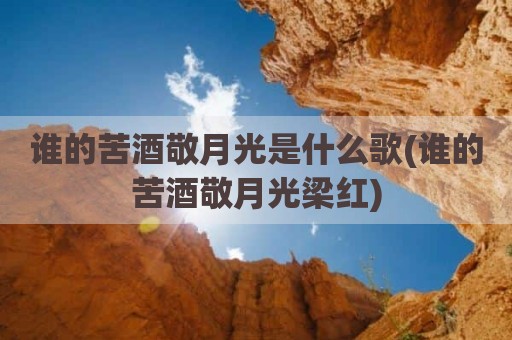 谁的苦酒敬月光是什么歌(谁的苦酒敬月光梁红)
