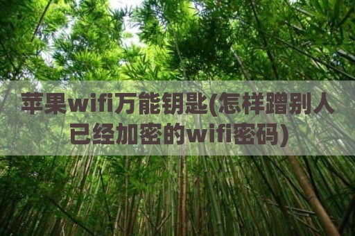 苹果wifi万能钥匙(怎样蹭别人已经加密的wifi密码)