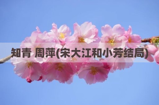 知青 周萍(宋大江和小芳结局)