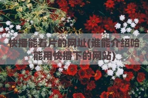 快播能看片的网址(谁能介绍哈能用快播下的网站)