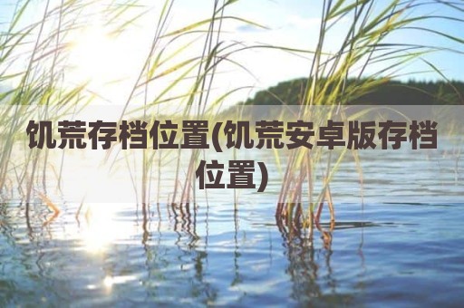 饥荒存档位置(饥荒安卓版存档位置)