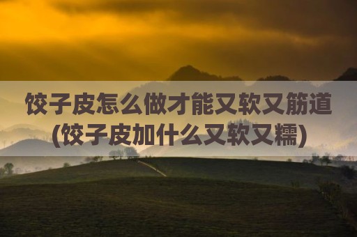 饺子皮怎么做才能又软又筋道(饺子皮加什么又软又糯)