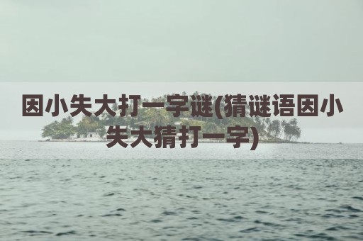 因小失大打一字谜(猜谜语因小失大猜打一字)