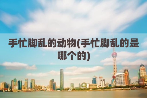 手忙脚乱的动物(手忙脚乱的是哪个的)