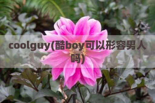 coolguy(酷boy可以形容男人吗)