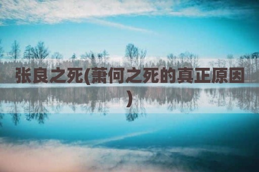 张良之死(萧何之死的真正原因)