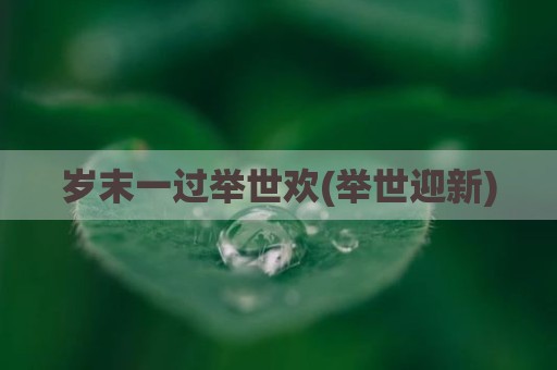 岁末一过举世欢(举世迎新)