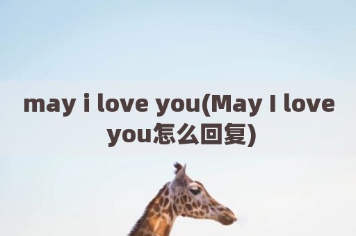 may i love you(May I love you怎么回复)