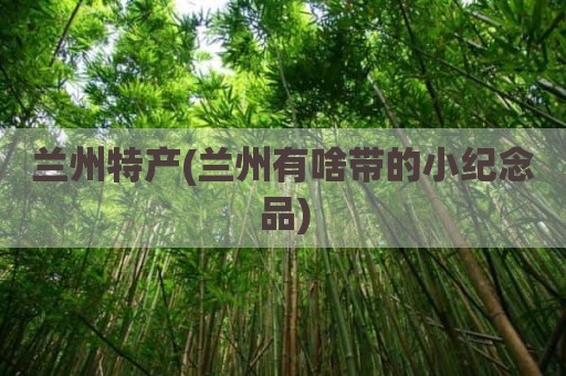 兰州特产(兰州有啥带的小纪念品)