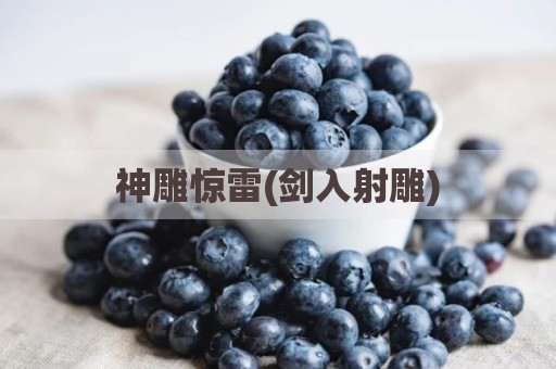 神雕惊雷(剑入射雕)