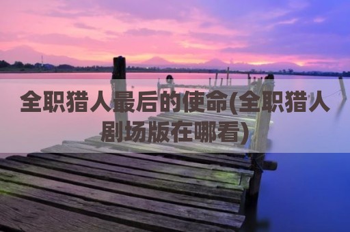 全职猎人最后的使命(全职猎人剧场版在哪看)