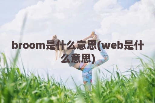 broom是什么意思(web是什么意思)