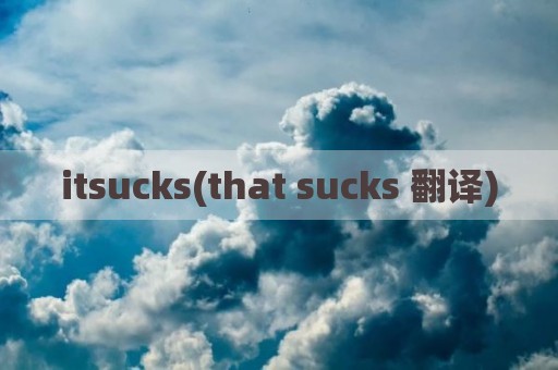 itsucks(that sucks 翻译)
