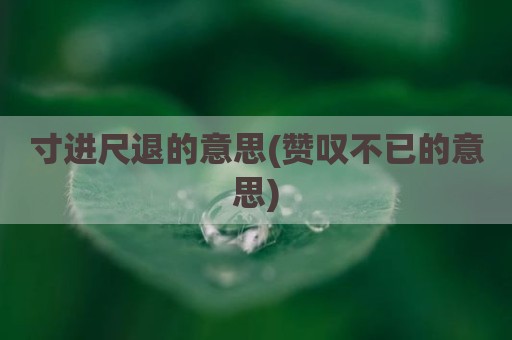 寸进尺退的意思(赞叹不已的意思)