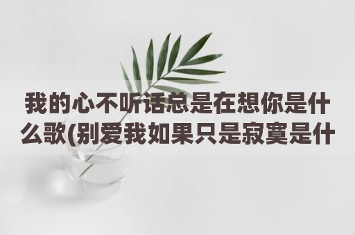 我的心不听话总是在想你是什么歌(别爱我如果只是寂寞是什么歌)