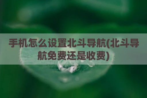手机怎么设置北斗导航(北斗导航免费还是收费)