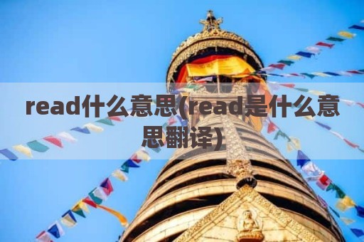read什么意思(read是什么意思翻译)