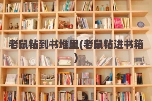 老鼠钻到书堆里(老鼠钻进书箱)