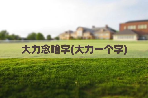 大力念啥字(大力一个字)