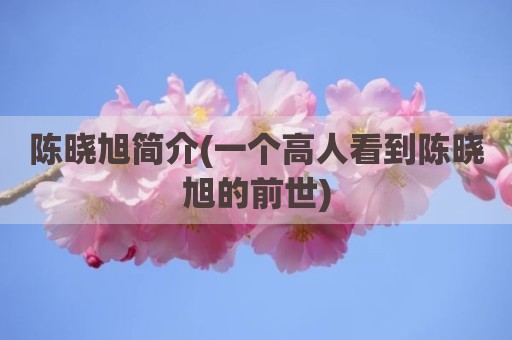 陈晓旭简介(一个高人看到陈晓旭的前世)