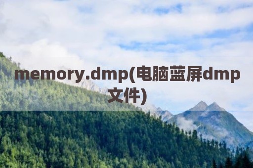 memory.dmp(电脑蓝屏dmp文件)