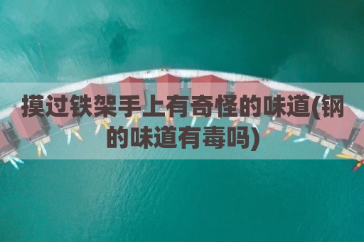 摸过铁架手上有奇怪的味道(钢的味道有毒吗)