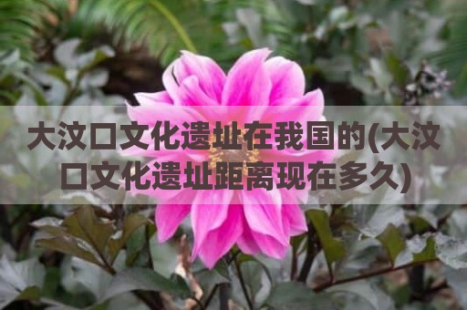 大汶口文化遗址在我国的(大汶口文化遗址距离现在多久)