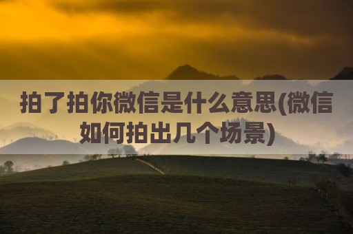 拍了拍你微信是什么意思(微信如何拍出几个场景)
