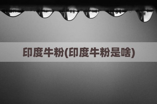 印度牛粉(印度牛粉是啥)