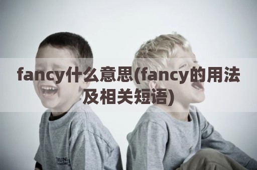 fancy什么意思(fancy的用法及相关短语)