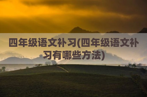 四年级语文补习(四年级语文补习有哪些方法)